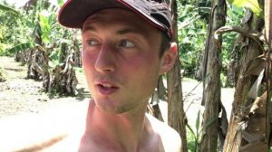 Как растут БАНАНЫ в Эквадоре???