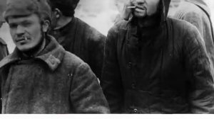 Откуда взялся Шейнин