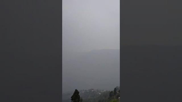 Foggy Valley Of Darjeeling ?️