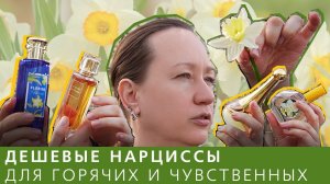 Обзор четырех бюджетных ароматов про медовый нарцисс