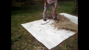 Зачем я выращиваю рожь