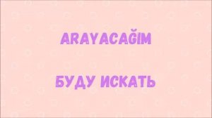 Турецкий язык для начинающих. Rusça fiiller. Турецкие глаголы (48).