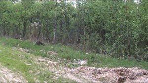 Я остаюсь. Песня Крупнова