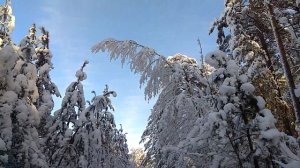 Очень поздняя осень