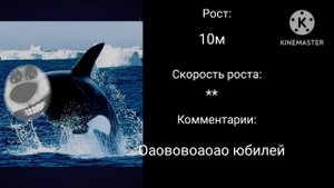 Какой у тебя рост: