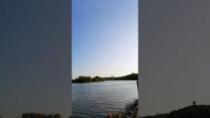 А художник берет краски....???????