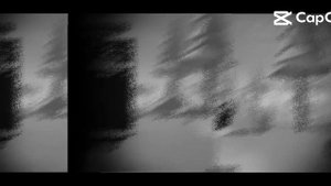 Это автомонтаж из кап кута