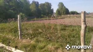 забор в огороде из досок своими руками