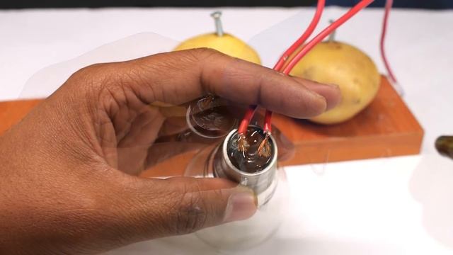 Free Energy Light Bulbs 220v using Potato(read description) смотреть онлайн