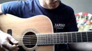 Test greg bennett d7 12 cordes