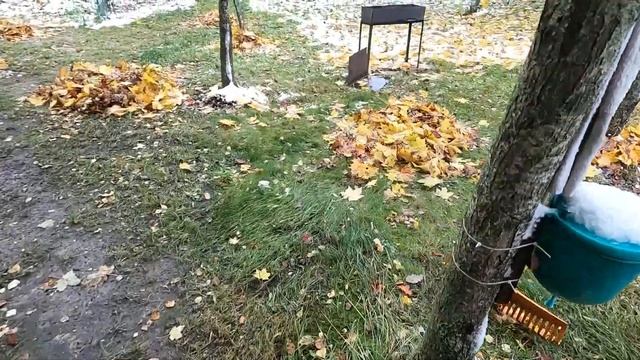 Листья и снег. Засыпаю листьями чеснок. смотреть онлайн