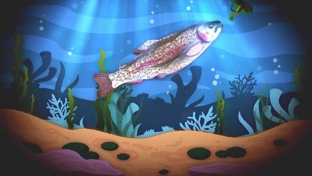 Интро Рыбалка - Дальний Кордон Александра / examples of works Sunshine studio смотреть онлайн