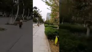 Онлайн-прогулка по Сучжоу (Китай) с локали Владиславой.