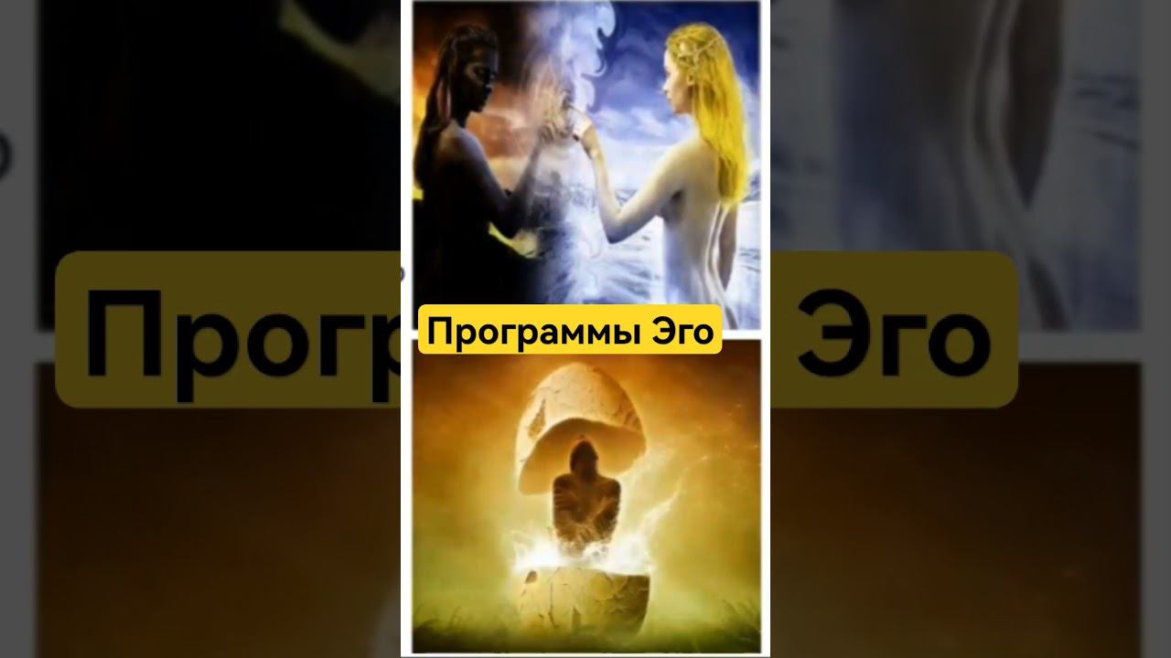 отрывок из Курса Освобождение от программ ЭГО