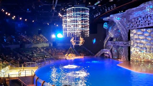 Сон в летнюю ночь. Москвариум. смотреть онлайн