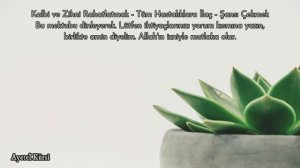 Ayetel Kürsi Dinle - 120 tekrar - Fakir olmaktan yoruldunuz, çare bu mektup inşaAllah