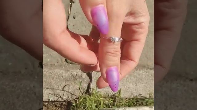 ДИЗАЙН или ОДНОТОННЫЙ ЦВЕТ