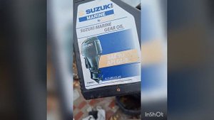 Волжанка 46 Фиш. Консервация ПЛМ Suzuki DF50. Аноды для Волжанка 46 через год. Сузуки DF50 2007г.в.