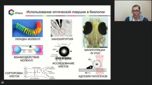 Лазерная ловушка для нанотехнологий