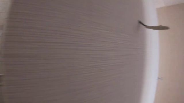 ремонт в трешке жк полет, ногинск