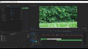 Эффект ПЕРЕМЕЩЕНИЯ во ВРЕМЕНИ | Урок PREMIERE PRO