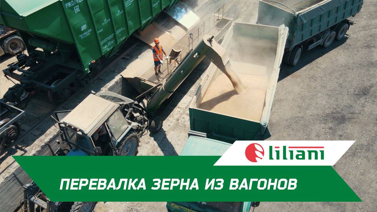 Перевалка зерна из вагона за 40 минут перегрузчиком Лилиани