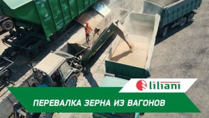 Перевалка зерна из вагона за 40 минут перегрузчиком Лилиани