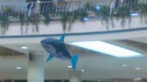 Надувная летающая акула