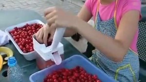 Машинка для удаления косточек из вишни/Косточковыдавливатель