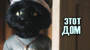 ДРАМА КОШАКОВ (Снова кошки ?)