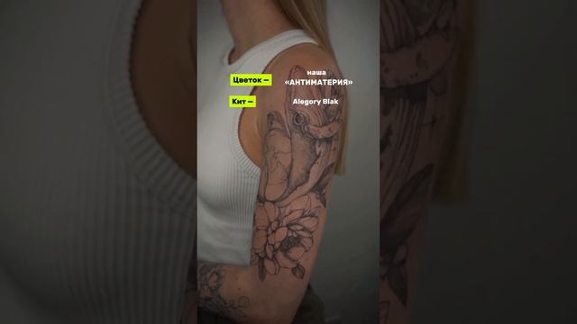 Зависимость vs Alegory. Сравниваем Антиматерию и Blak смотреть онлайн