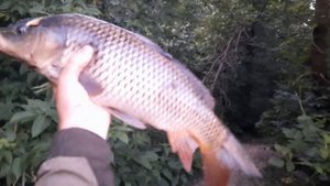 Видео отчёт с рыбалки.Река Сура. Фидер.