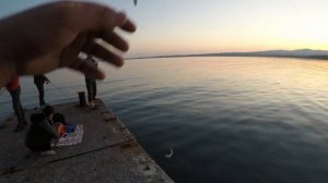 Ставрида на самодур в Геленджике. Клюет на каждом забросе)