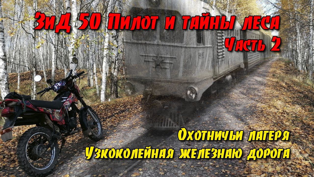 ЗиД 50 Пилот и тайны леса. Часть 2.