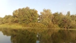 Река Дон хутор Стародонской 2