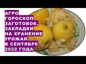 Агрогороскоп заготовок, закладки на хранение урожая овощей, плодов и ягод в октябре 2022 года