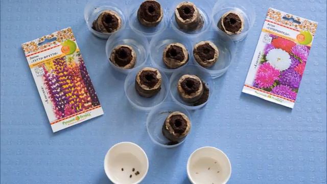 Почвотабс 3D смотреть онлайн