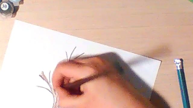 Как нарисовать красивое дерево