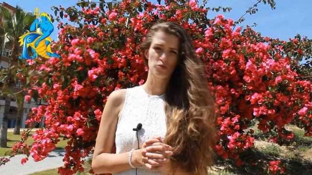 ЗНАКИ ЗОДИАКА В ТВОРЧЕСТВЕ ? СТИХИЯ ВОЗДУХ // ВЕСЫ , БЛИЗНЕЦЫ, ВОДОЛЕИ смотреть онлайн