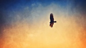 Анализ «Узник» Пушкин А. С. Стихотворение и сочинение-анализ стихотворения