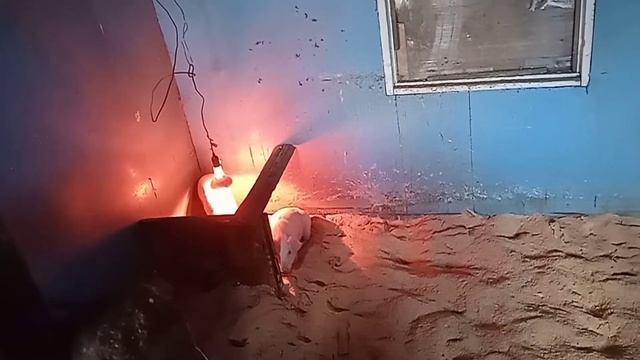 покупка нового хозяйствс