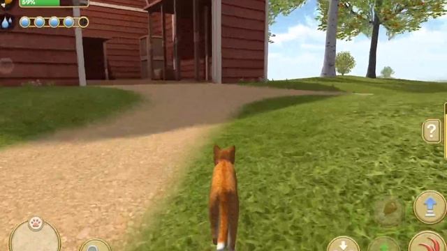 Cat Simulator | Кот на ферме | Симулятор кота | Выполняем задания