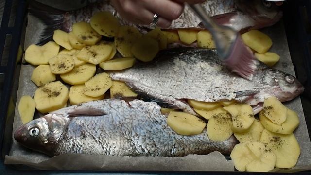 Лещ с картошкой в духовке