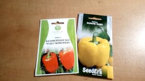 Перец сладкий. Обзор сортов Золотое чудо и Калифорнийское чудо