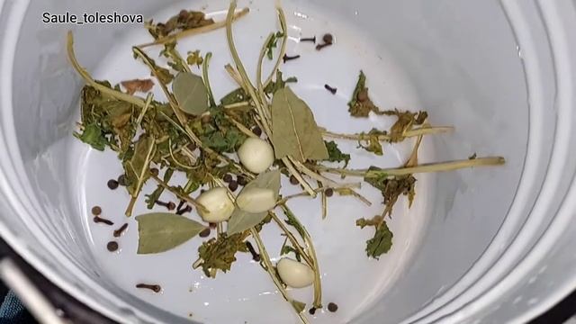 Самая вкусная квашеная капуста. Красная капуста. Ащы капуста. Самый простой и быстрый рецепт