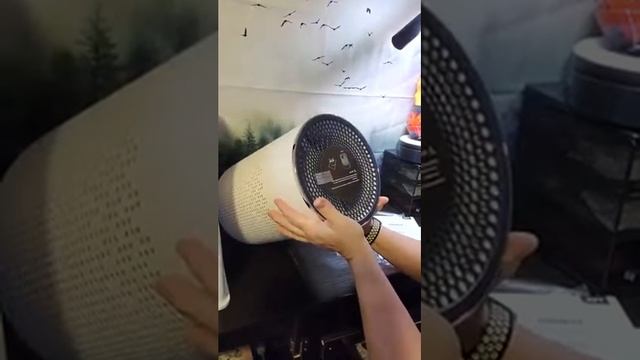 TCL Air Purifier for Home with True HEPA H13 Filter Review, Great for A Small Room смотреть онлайн