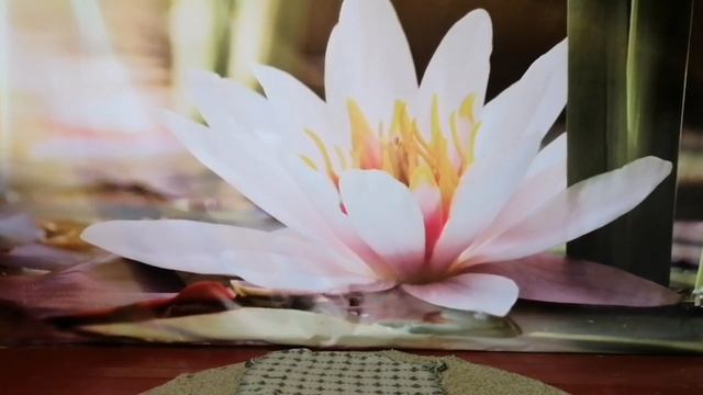 10.Трансформация внутреннего гнева и возвышение Духа #кундалинийога #йогакаждыйдень #йогаонлайн