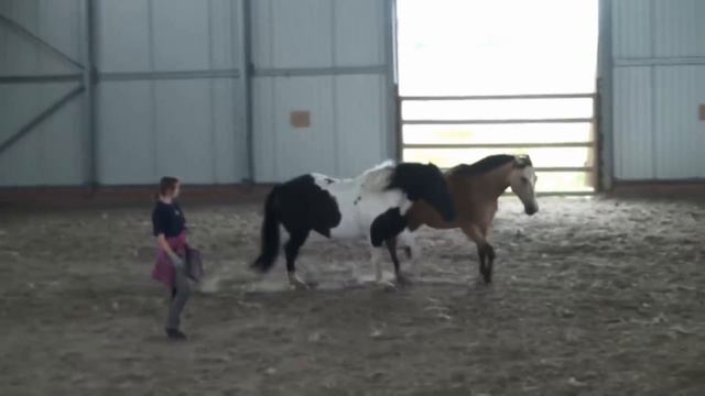 Гуля и Ханни, зарисовки с занятий смотреть онлайн