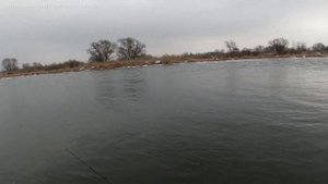 Тест бюджетного комплекта для крупной резины и джерков