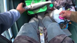 Областной турнир по ловле спиннингом с лодок 2022г день 2